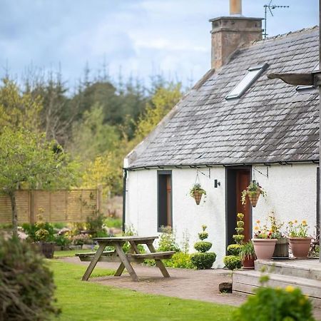 Cosy & Rustic Retreat - Woodland Cottage. Nairn Exteriör bild