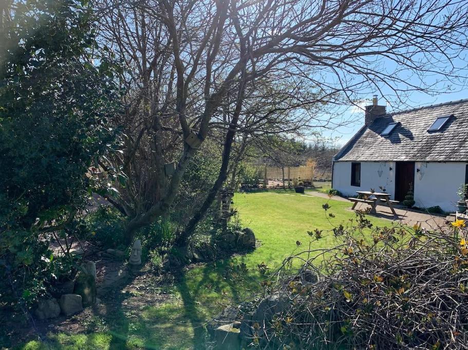 Cosy & Rustic Retreat - Woodland Cottage. Nairn Exteriör bild
