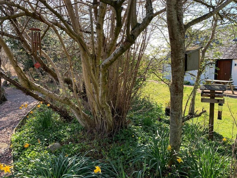 Cosy & Rustic Retreat - Woodland Cottage. Nairn Exteriör bild