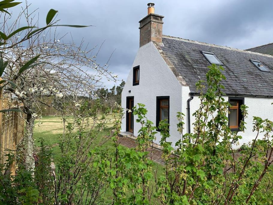 Cosy & Rustic Retreat - Woodland Cottage. Nairn Exteriör bild